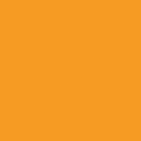 SDG 11