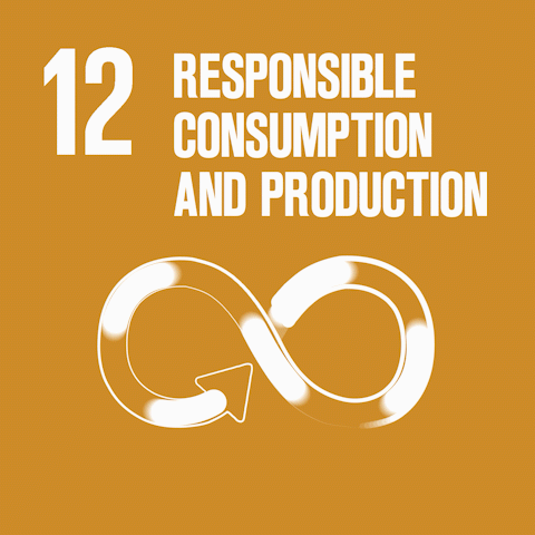 SDG 12