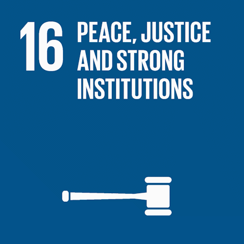 SDG 16