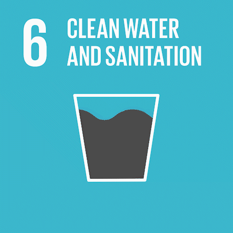 SDG 6