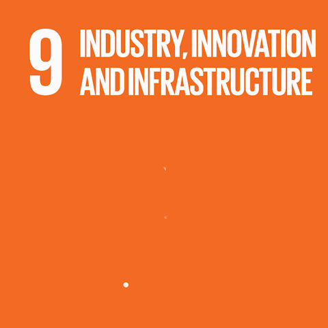 SDG 9
