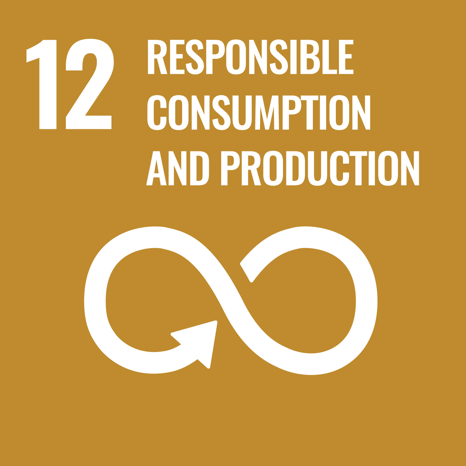 SDG 12 責任消費與生產