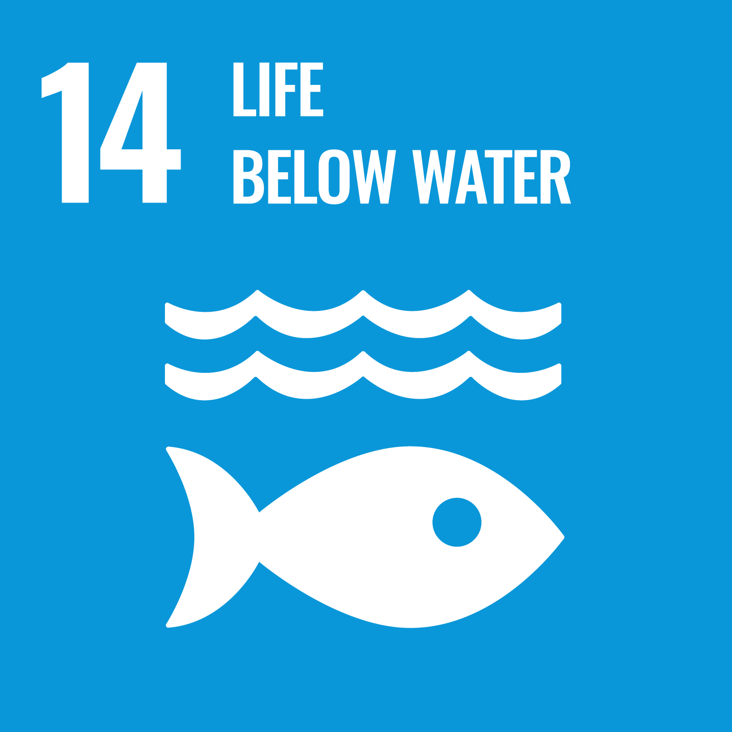 SDG 14 保育海洋生態